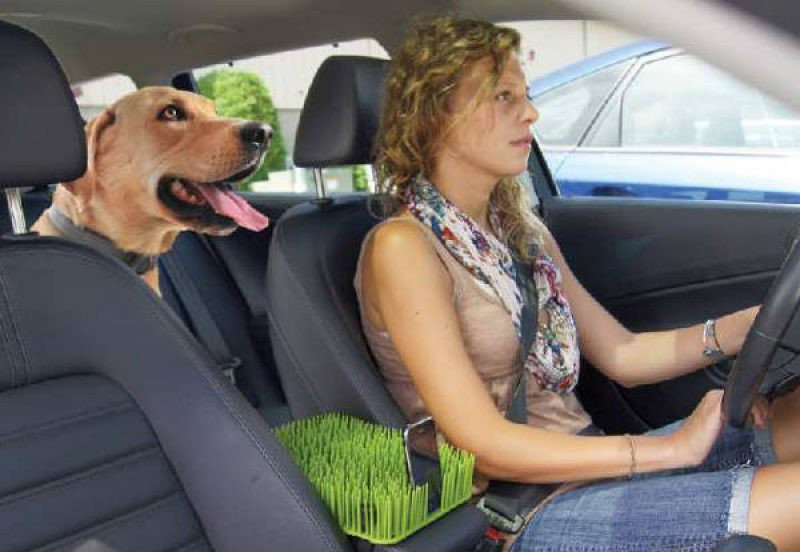 La griglia divisoria per il cane in auto